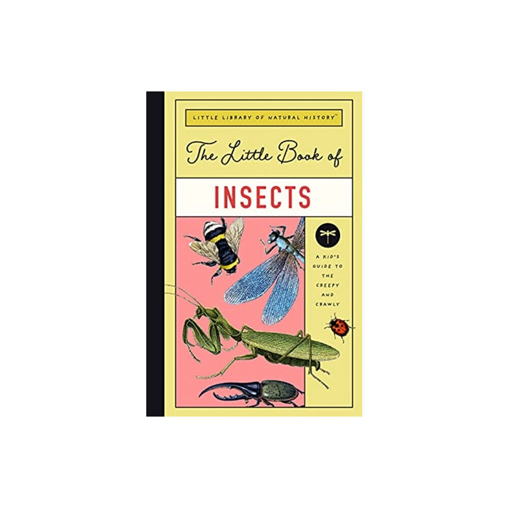 GLOBAL PUBLISHER SERVICES LITTLE BOOK OF INSECTS (inbunden, eng)