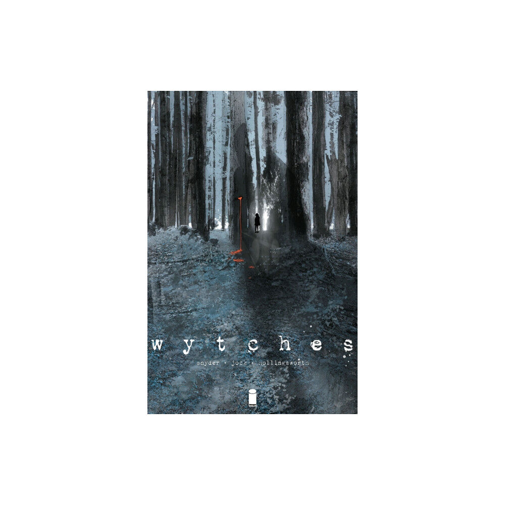 Image Comics Wytches Volume 1 (häftad, eng)