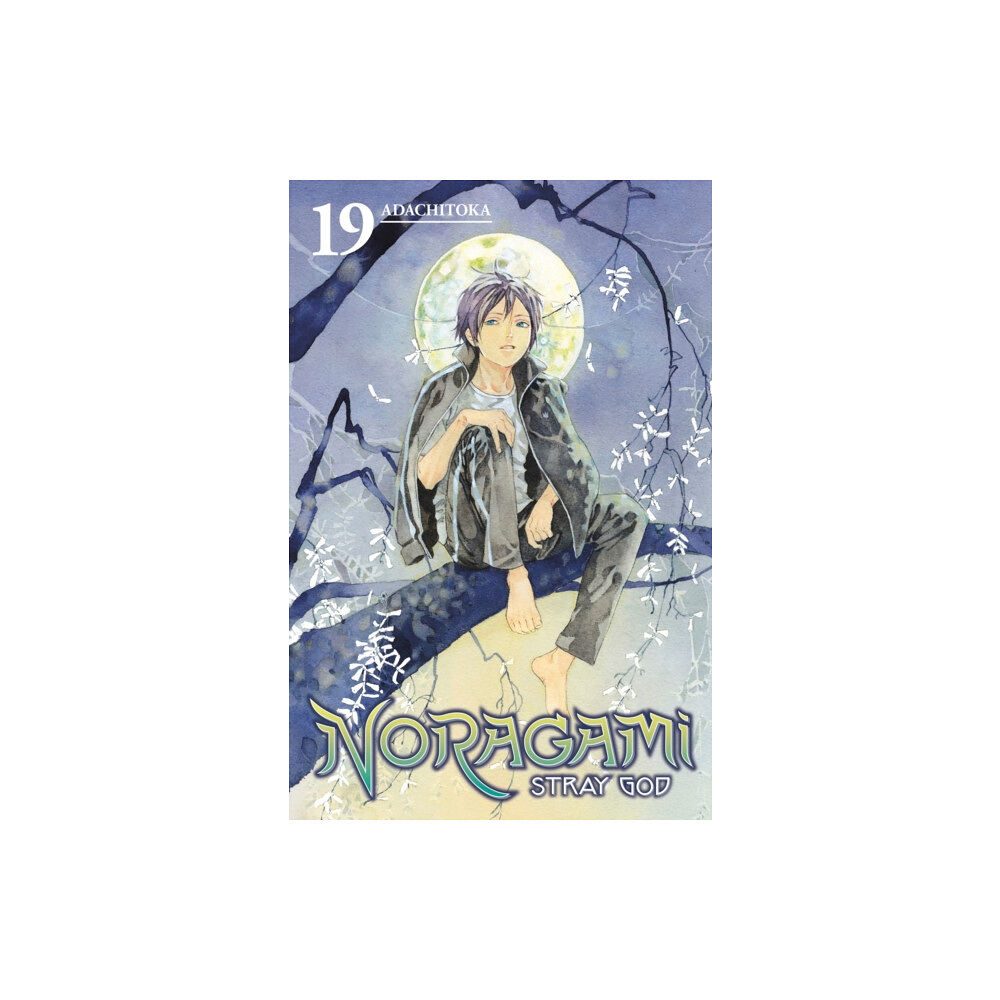 Kodansha America, Inc Noragami: Stray God 19 (häftad, eng)