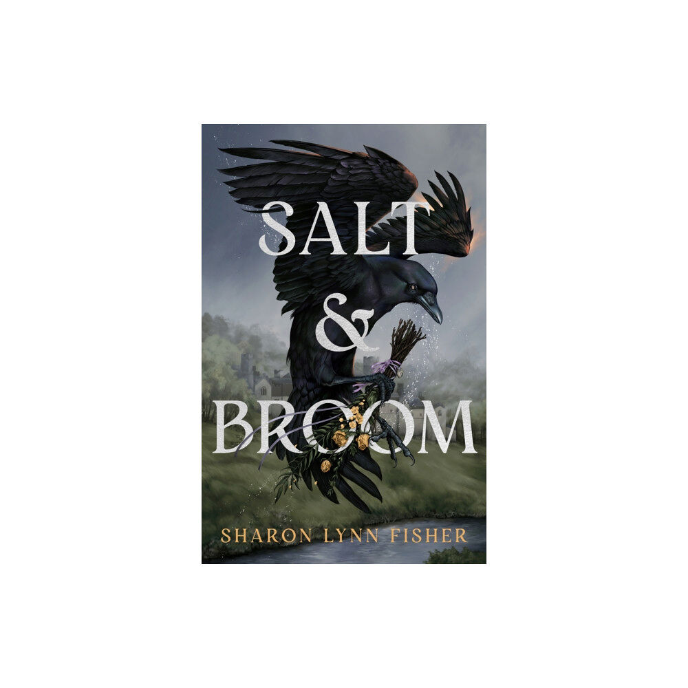 Amazon Publishing Salt & Broom (häftad, eng)