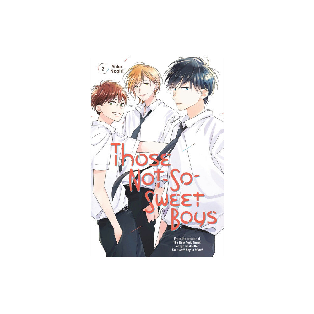 Kodansha America, Inc Those Not-So-Sweet Boys 2 (häftad, eng)