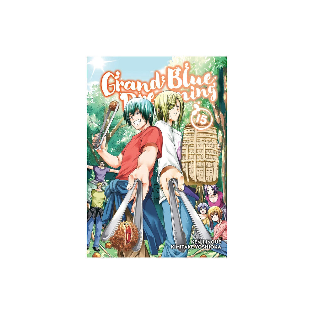 Kodansha America, Inc Grand Blue Dreaming 15 (häftad, eng)