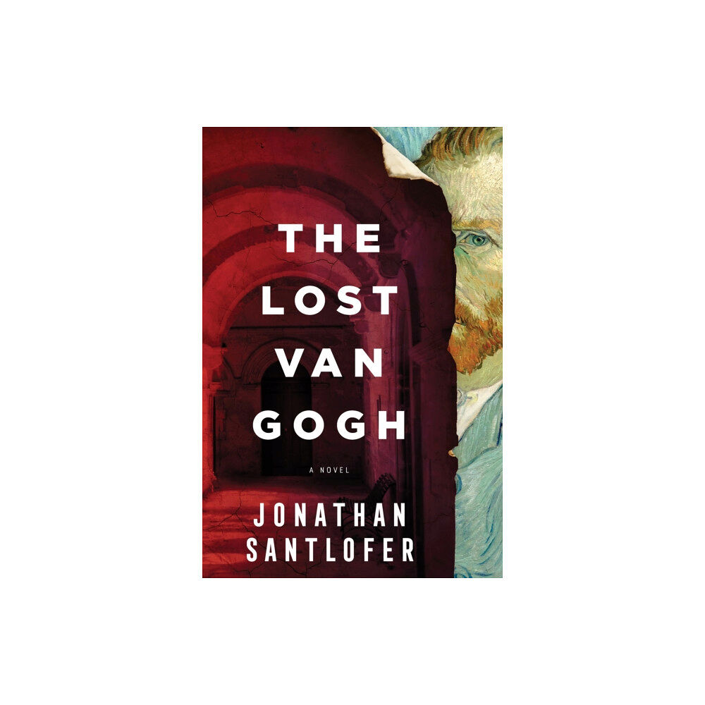 Sourcebooks, Inc The Lost Van Gogh (häftad, eng)