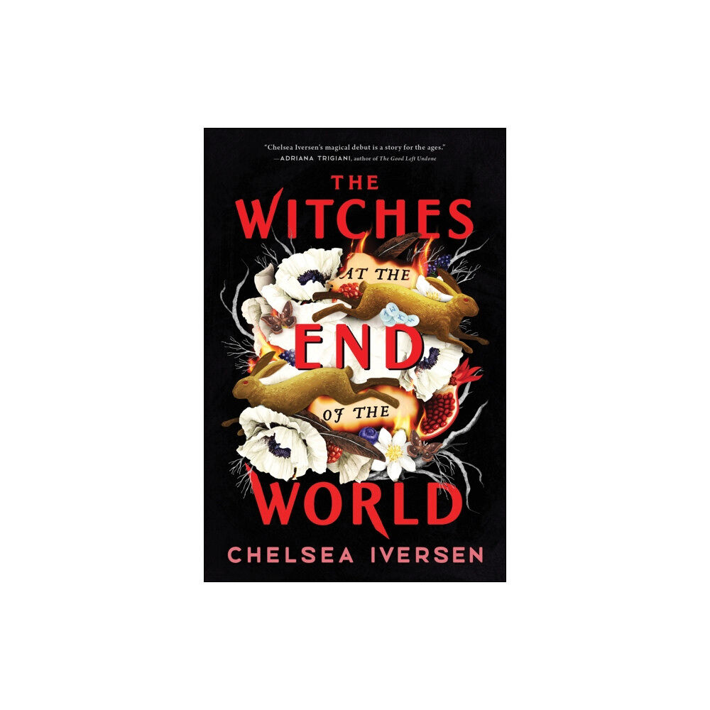 Sourcebooks, Inc The Witches at the End of the World (häftad, eng)