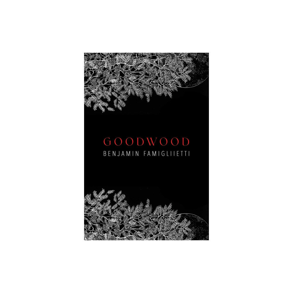 Austin Macauley Publishers LLC Goodwood (häftad, eng)