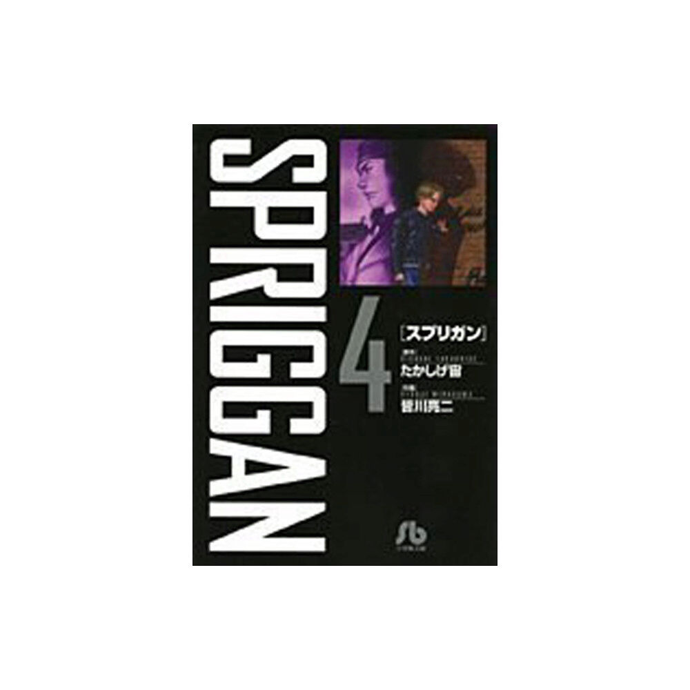 Seven Seas Entertainment, LLC SPRIGGAN: Deluxe Edition 4 (häftad, eng)