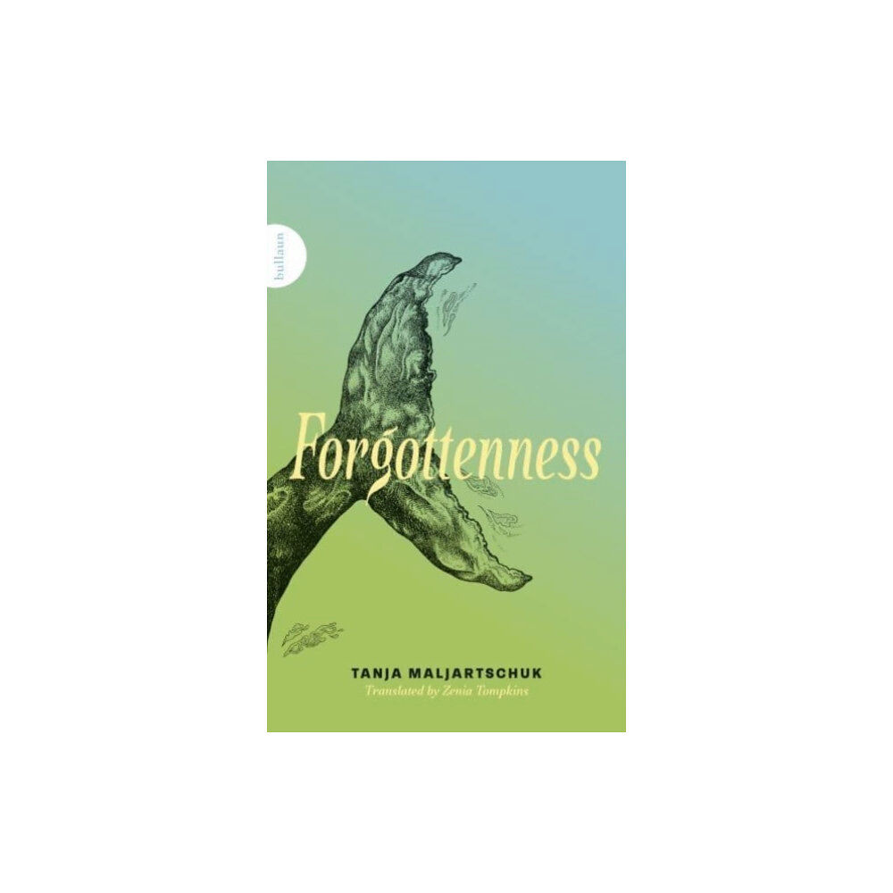 Bullaun Press Forgottenness (häftad, eng)