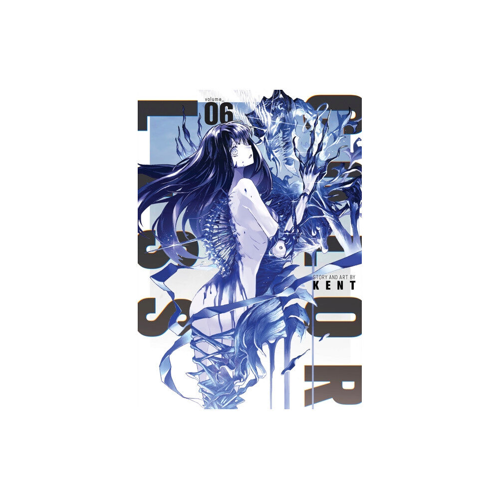 Seven Seas Entertainment, LLC COLORLESS Vol. 6 (häftad, eng)