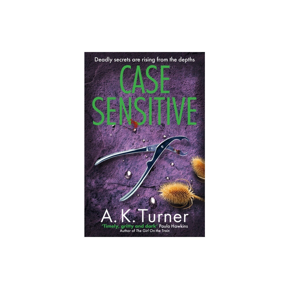 Bonnier Books Ltd Case Sensitive (häftad, eng)