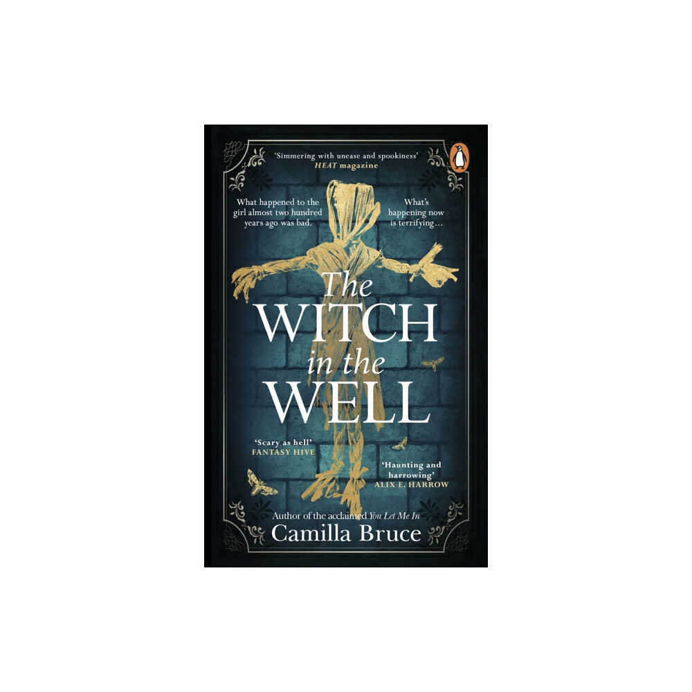 Transworld publishers ltd The Witch in the Well (häftad, eng)