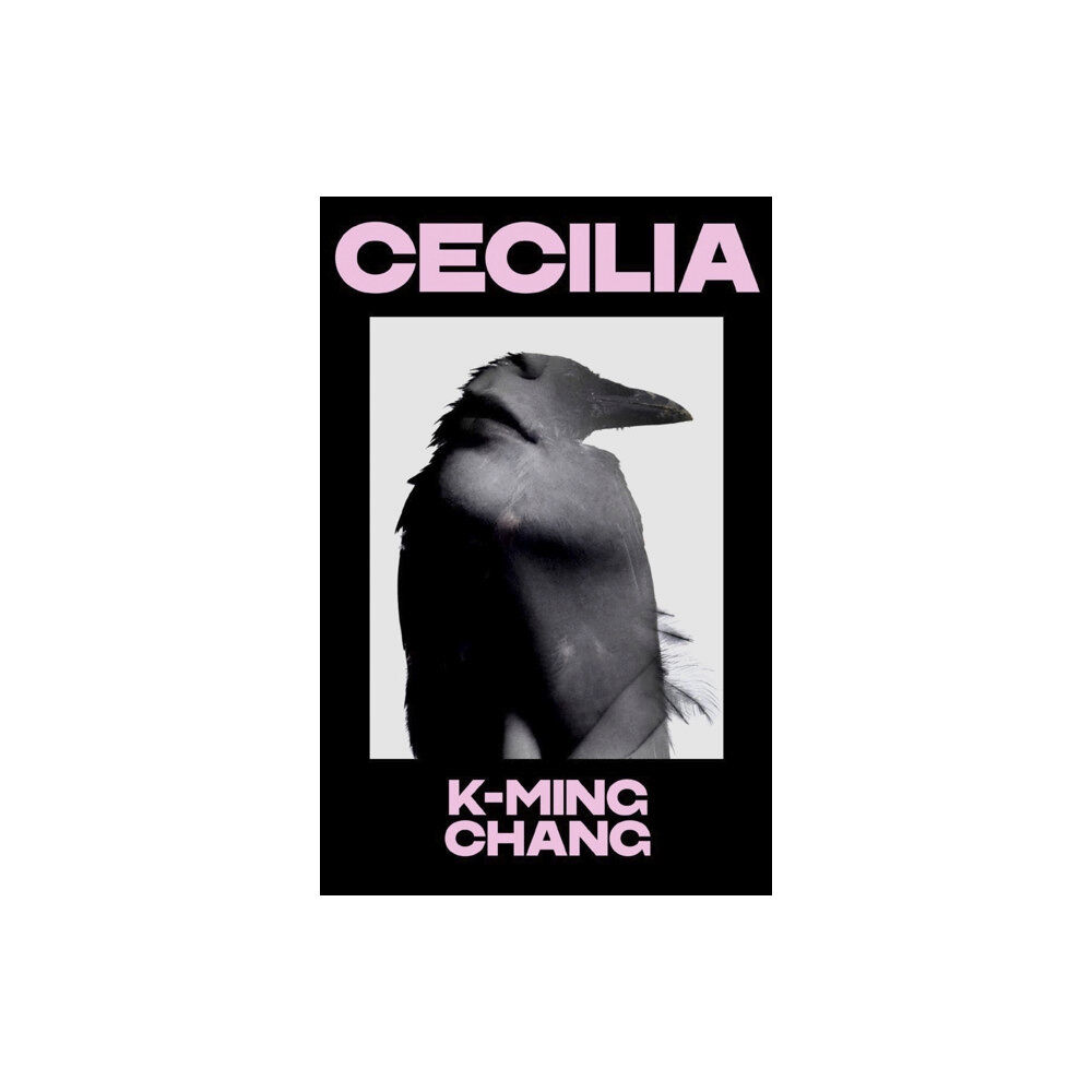 Vintage Publishing Cecilia (inbunden, eng)