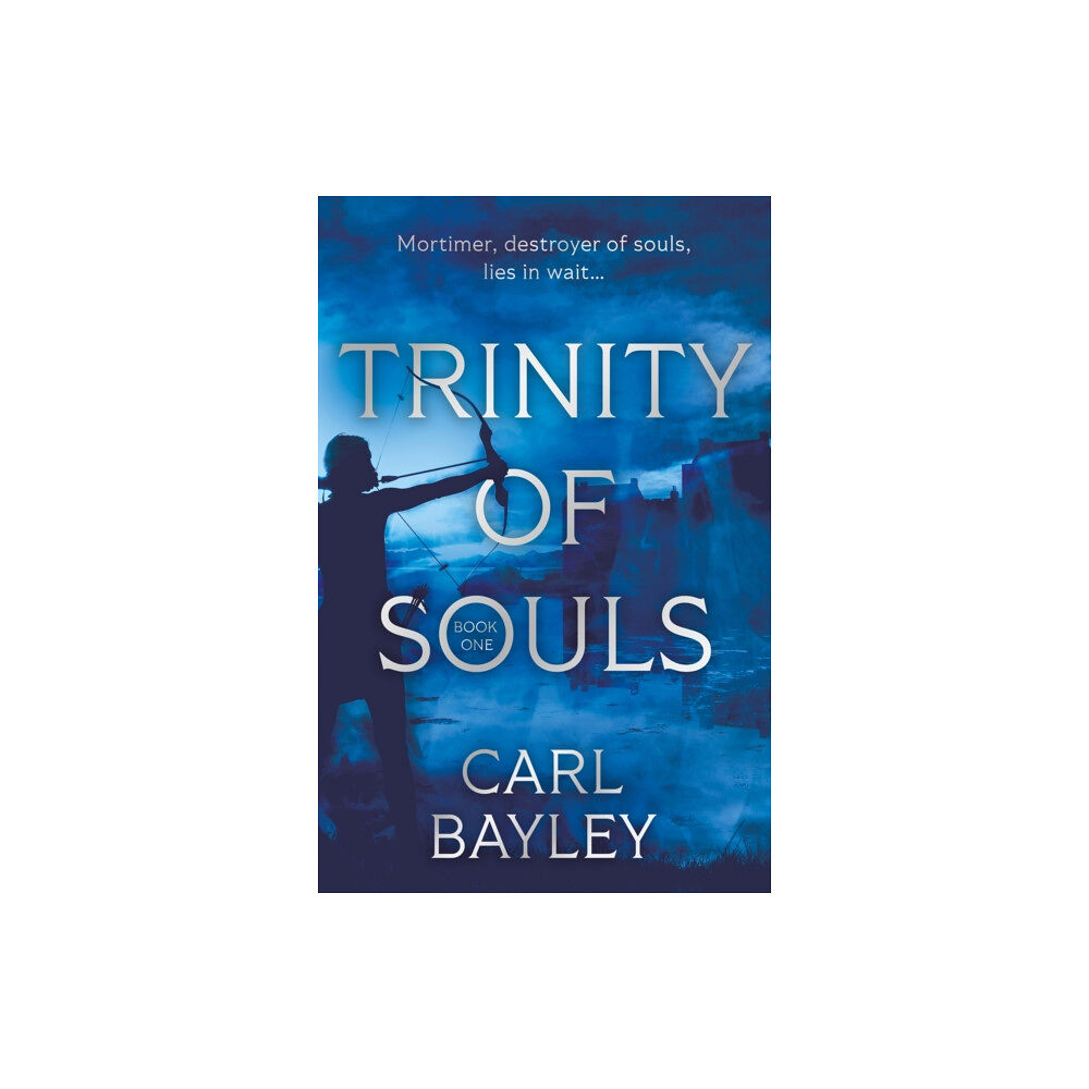 Troubador Publishing Trinity of Souls (häftad, eng)