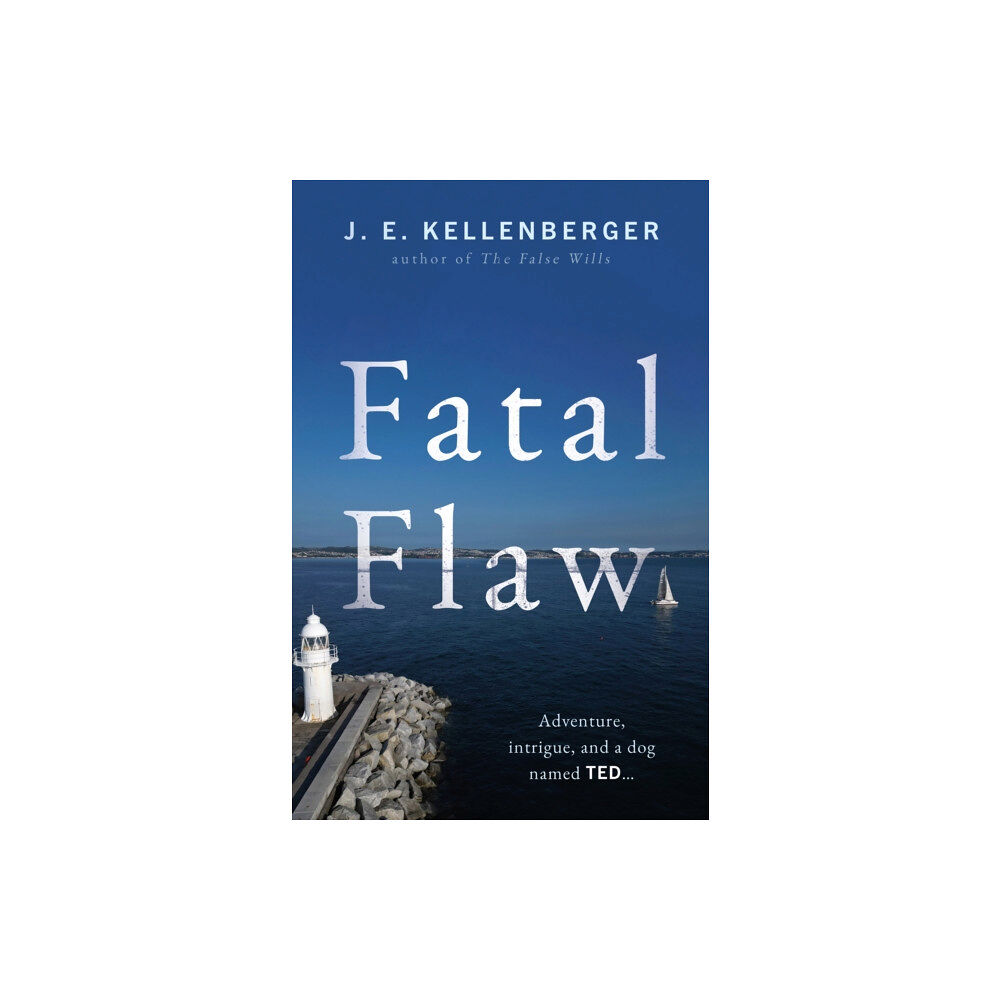 Troubador Publishing Fatal Flaw (häftad, eng)