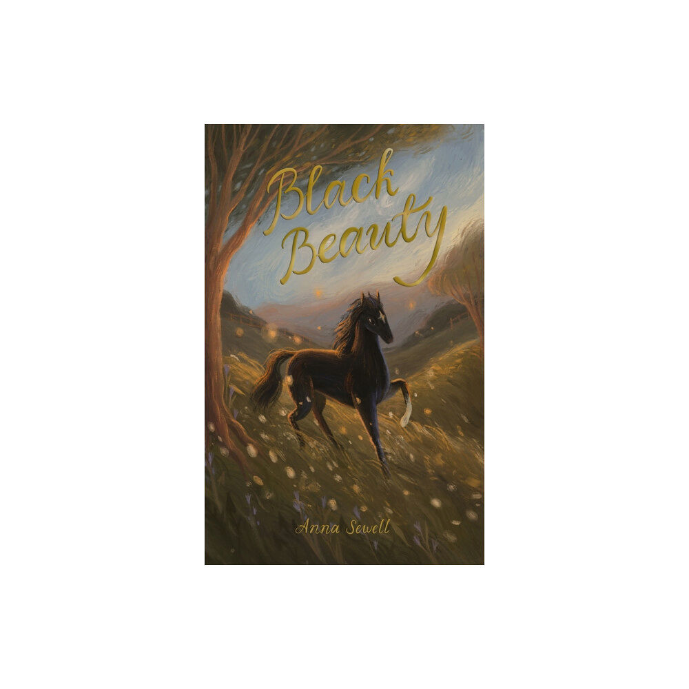 Wordsworth Editions Ltd Black Beauty (häftad, eng)