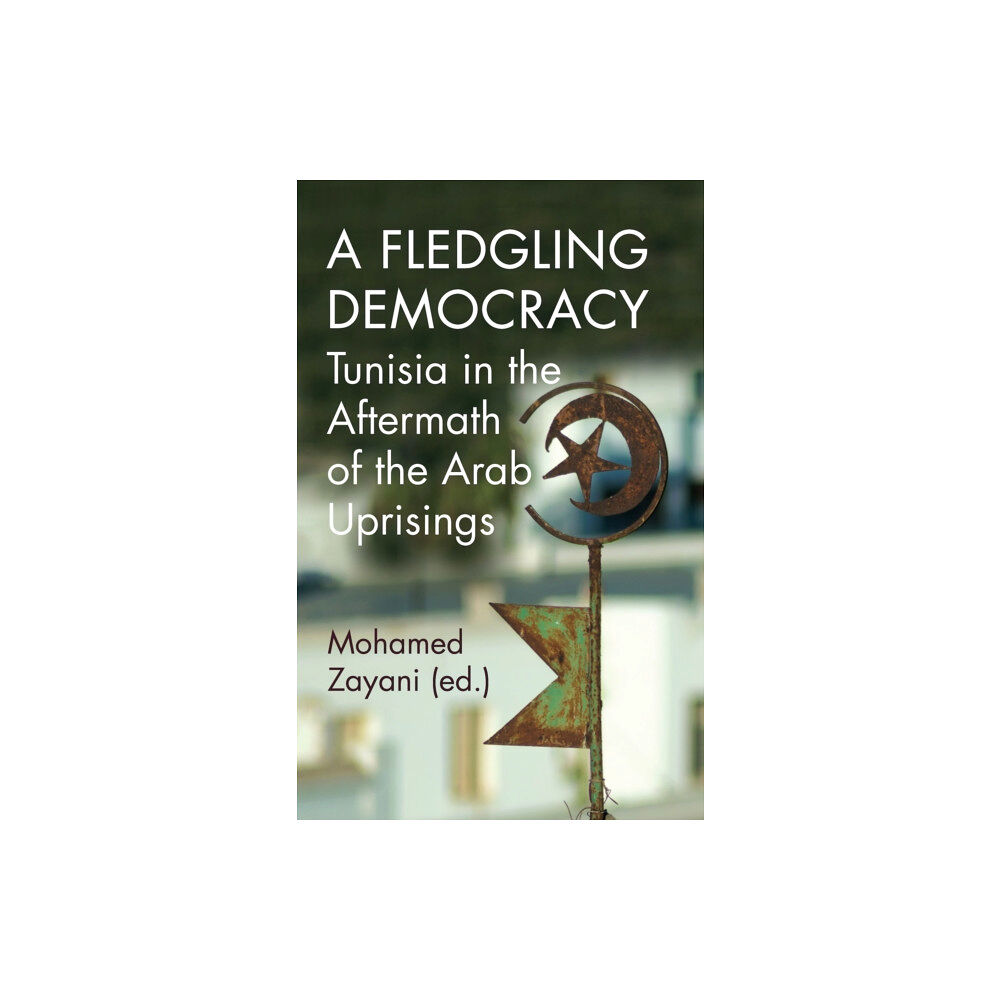 C hurst & co publishers ltd A Fledgling Democracy (häftad, eng)