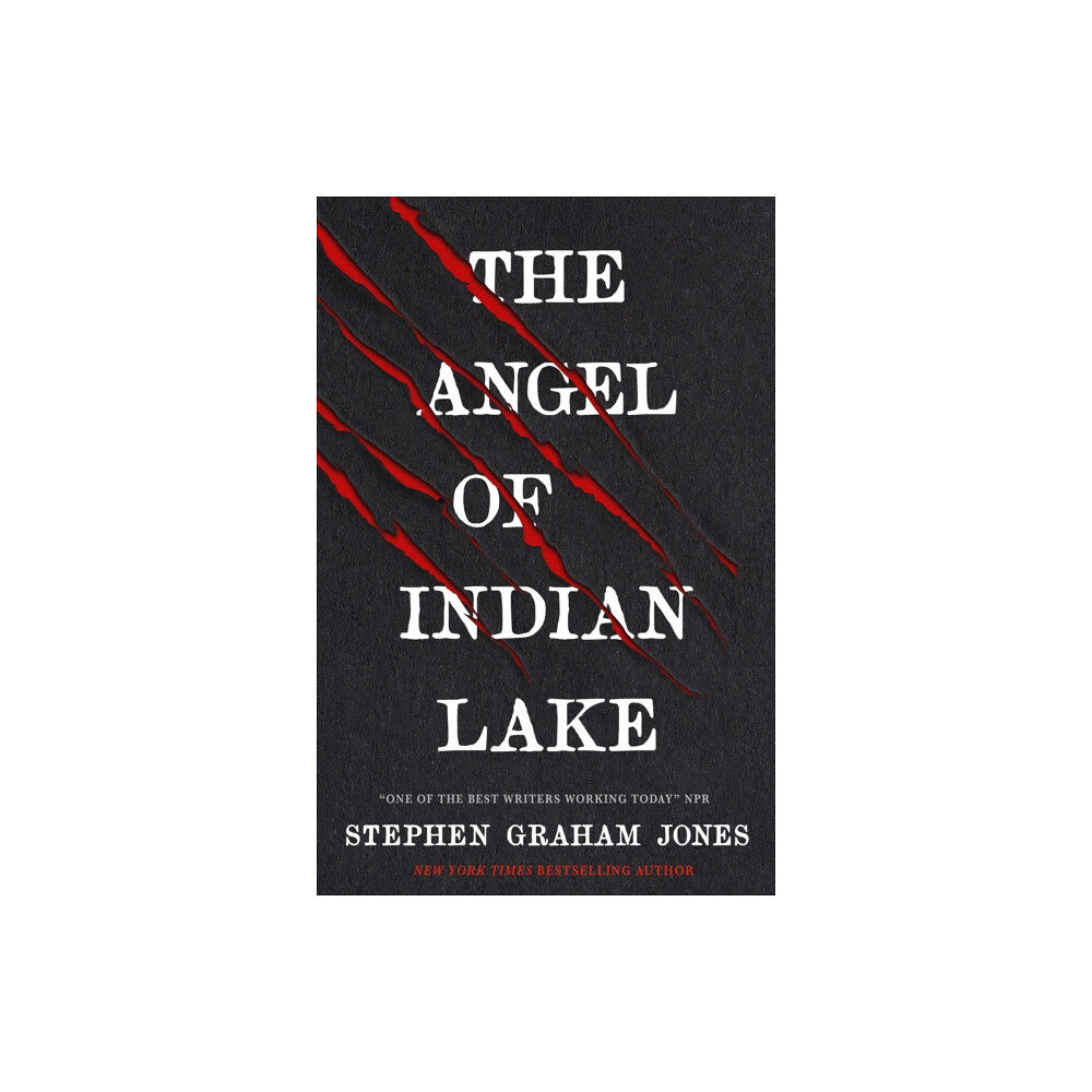 Titan Books Ltd The Angel of Indian Lake (häftad, eng)