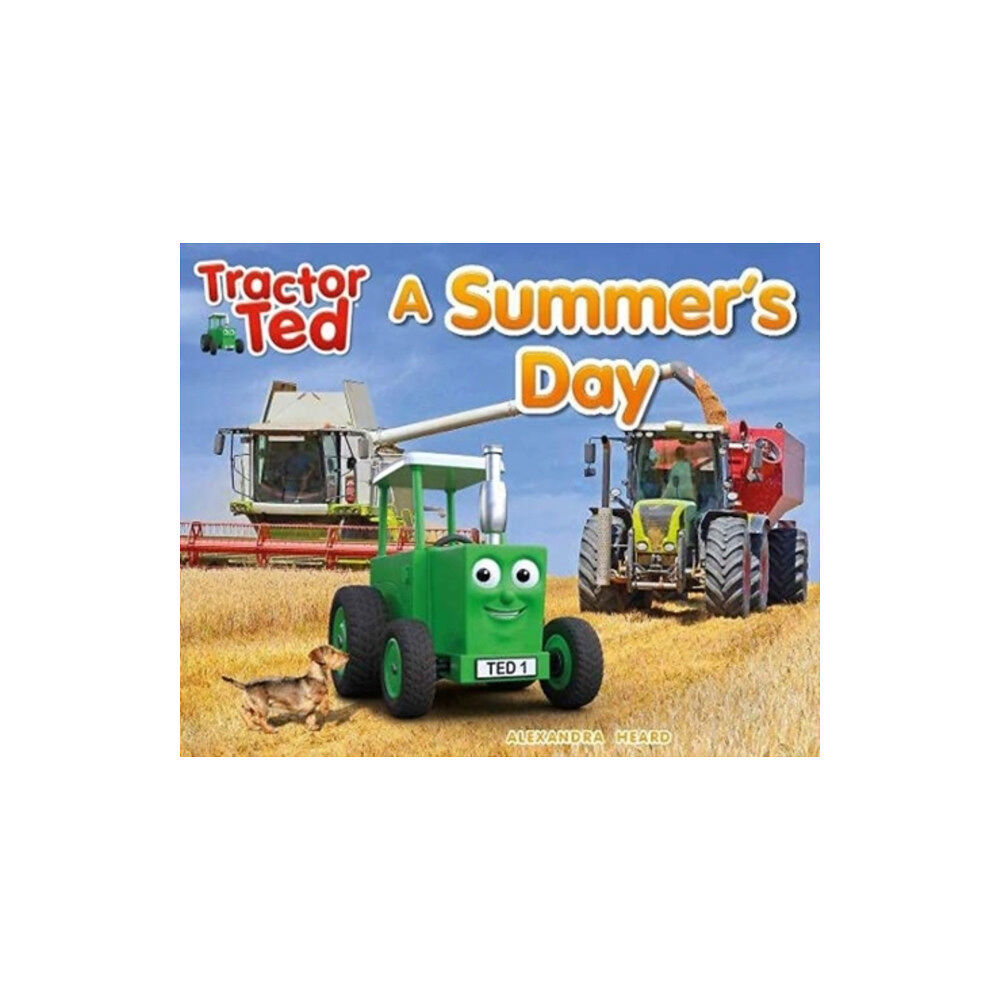 TRACTORLAND LTD Tractor Ted A Summer's Day (häftad, eng)