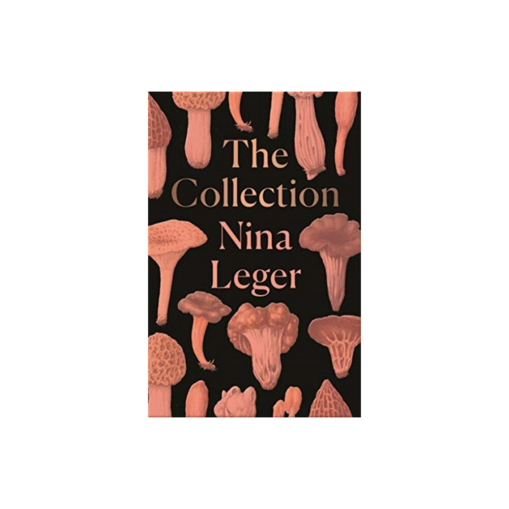 Granta Books The Collection (häftad, eng)