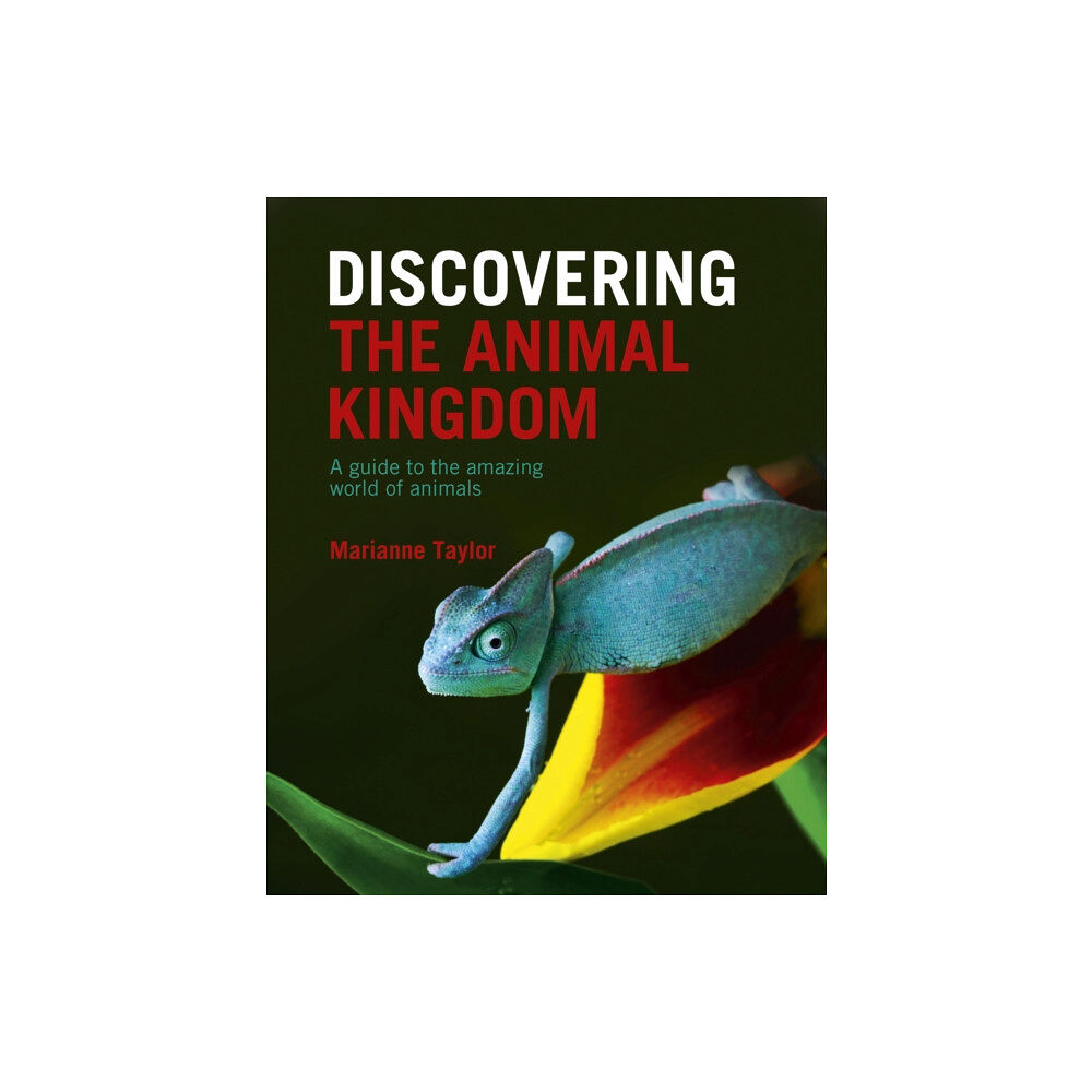 Arcturus publishing ltd Discovering The Animal Kingdom (inbunden, eng)