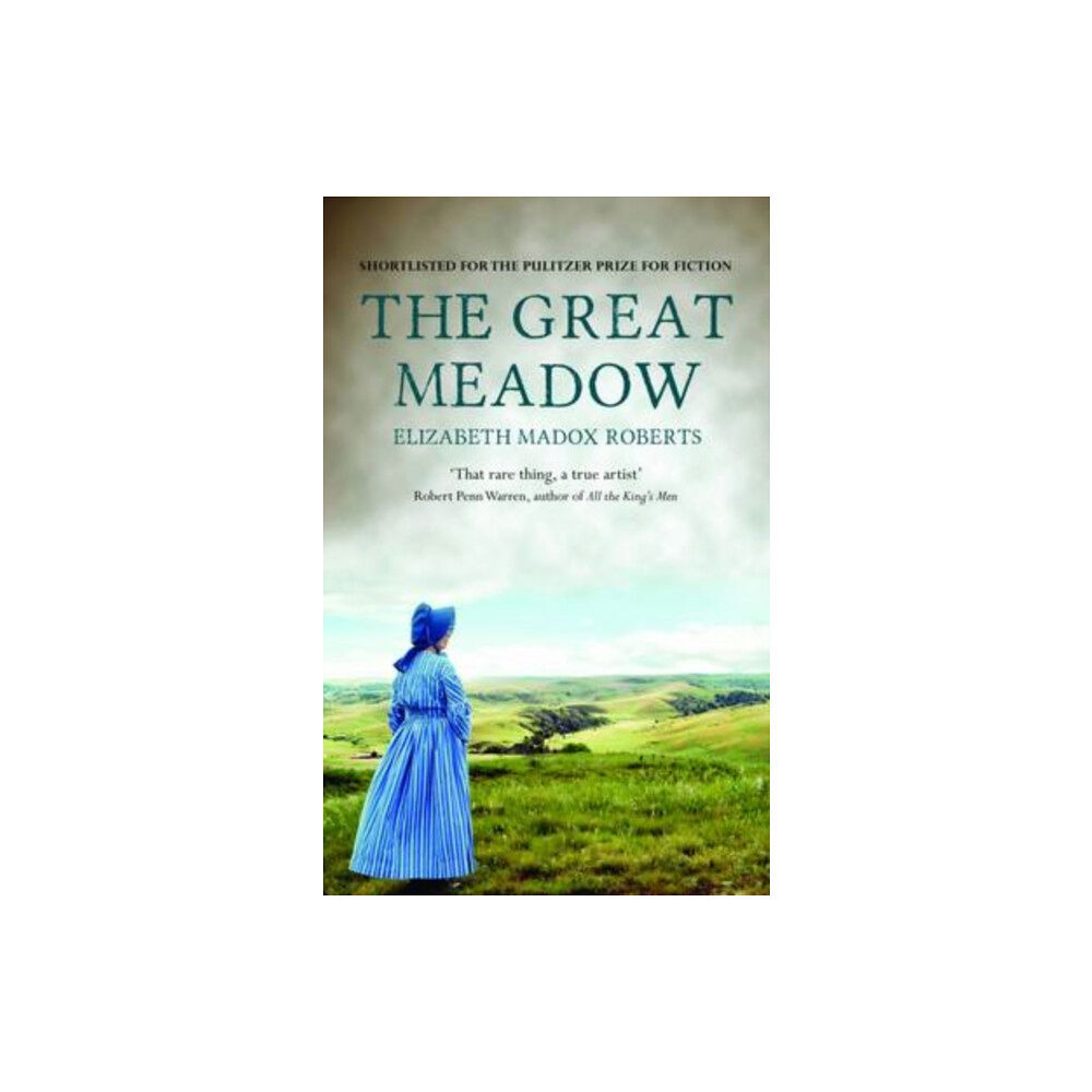 Hesperus Press Ltd The Great Meadow (häftad, eng)