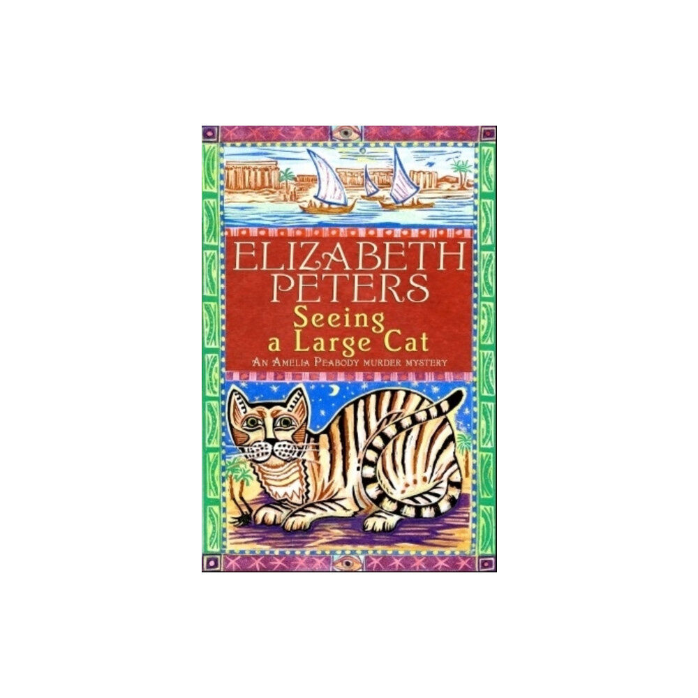 Little, Brown Book Group Seeing a Large Cat (häftad, eng)