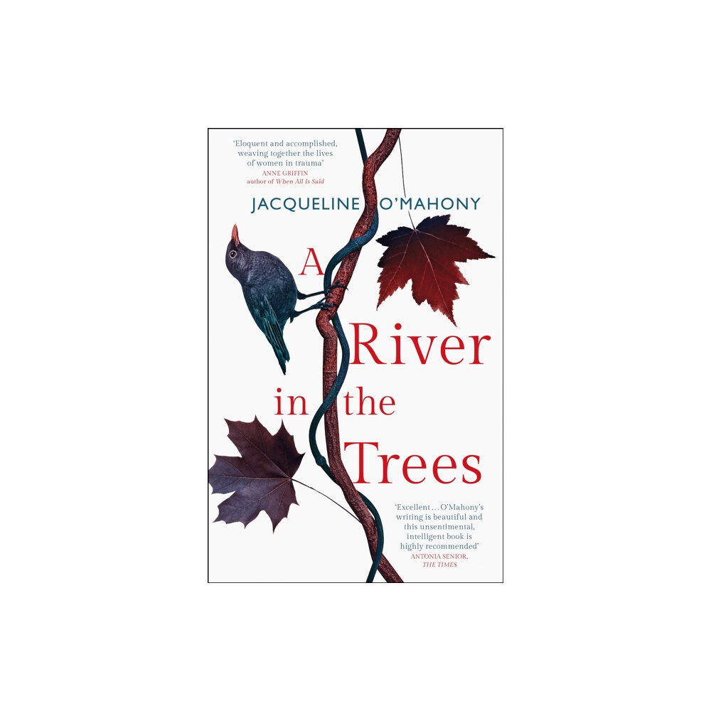 Quercus Publishing A River in the Trees (häftad, eng)