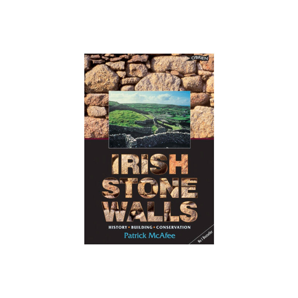 O'Brien Press Ltd Irish Stone Walls (häftad, eng)