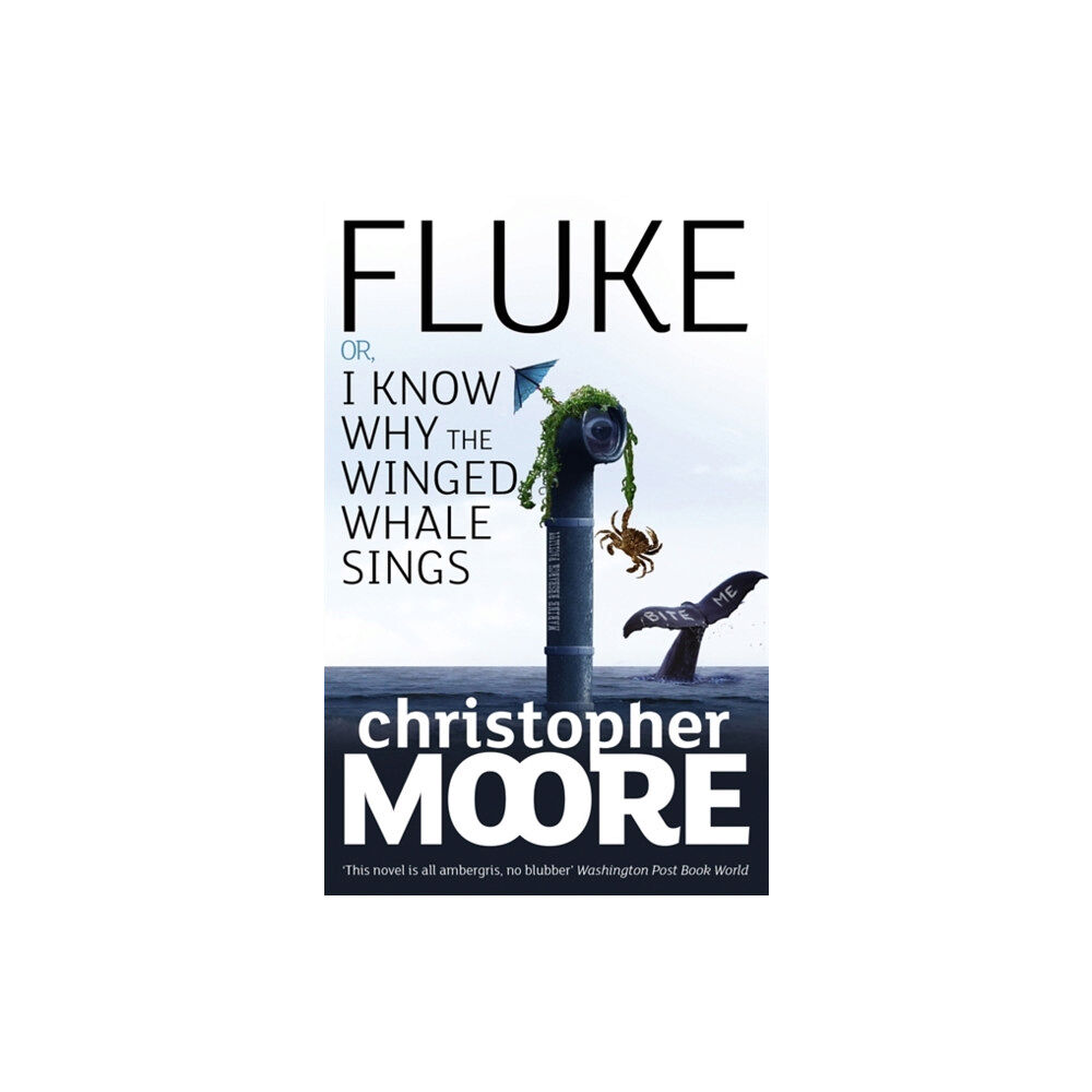 Little, Brown Book Group Fluke (häftad, eng)