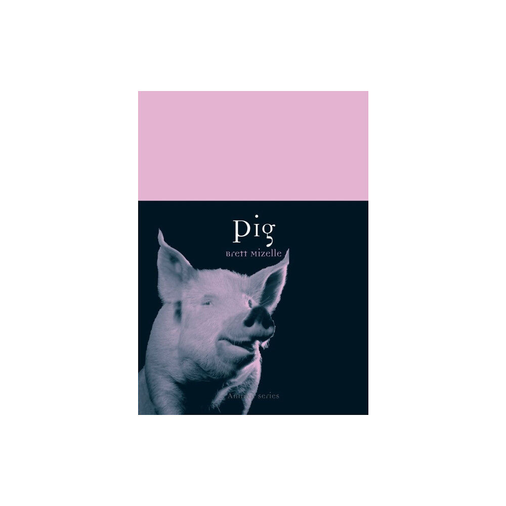 Reaktion Books Pig (häftad, eng)