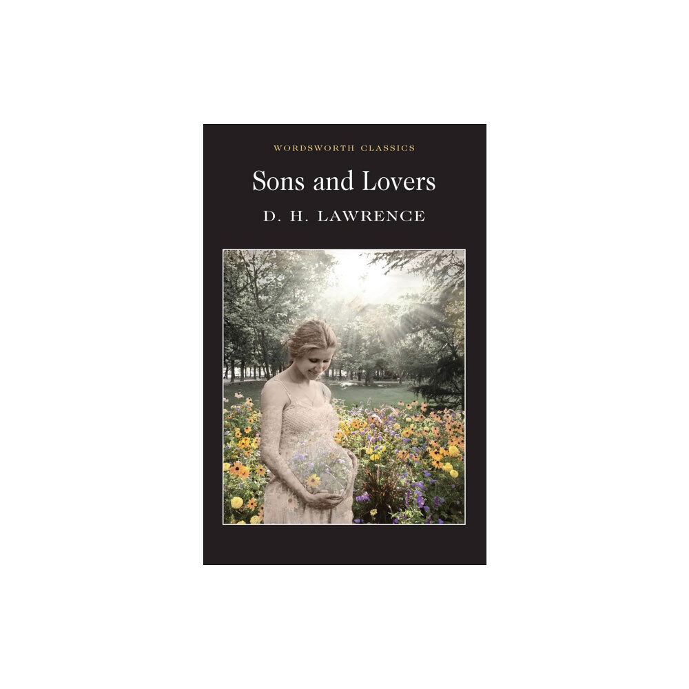 Wordsworth Editions Ltd Sons and Lovers (häftad, eng)