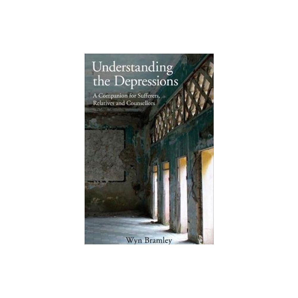 Free Association Books Understanding the Depressions (häftad, eng)