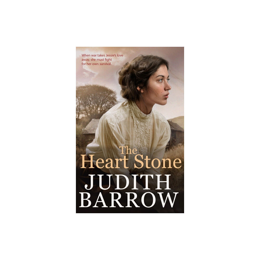 Honno Welsh Women's Press The Heart Stone (häftad, eng)