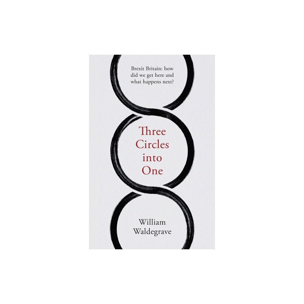 Mensch Publishing Three Circles Into One (häftad, eng)