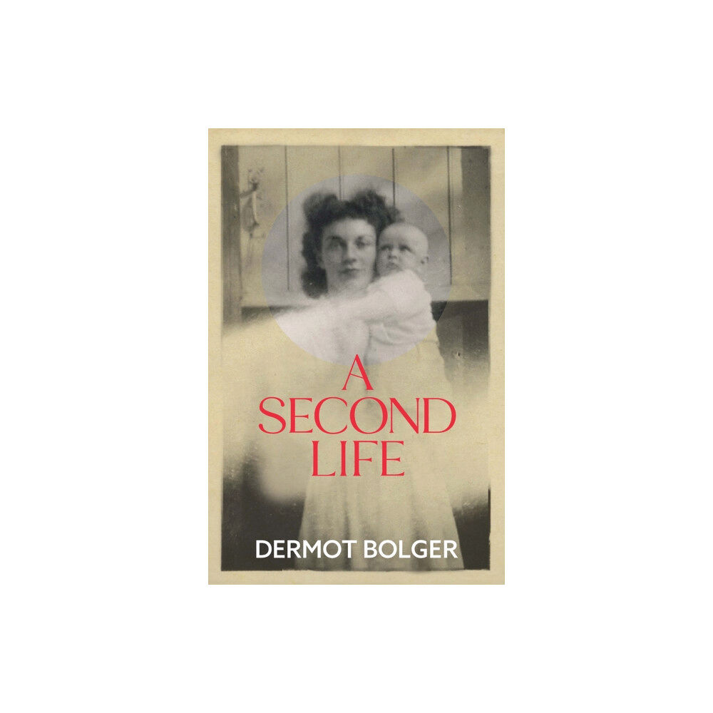 New Island Books A Second Life (häftad, eng)