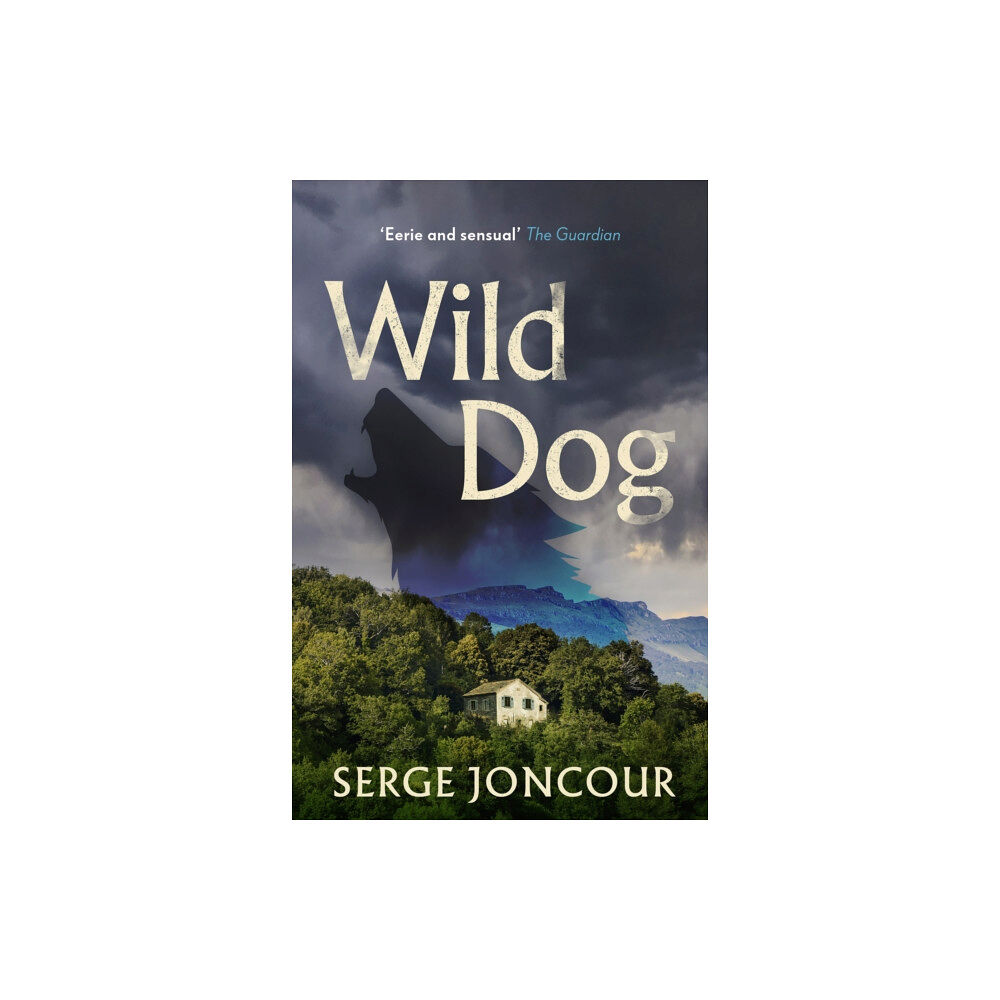 Gallic Books Wild Dog: Sinister and savage psychological thriller (häftad, eng)