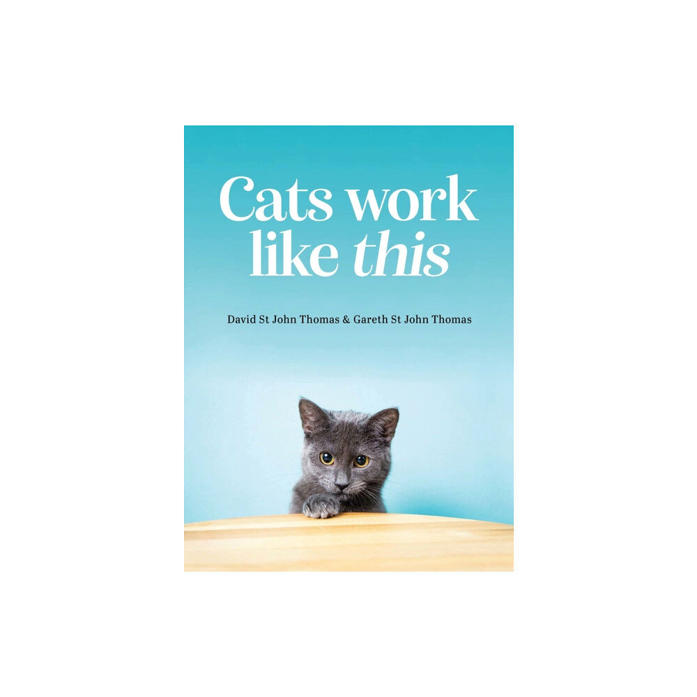 Exisle Publishing Cats Work Like This (inbunden, eng)