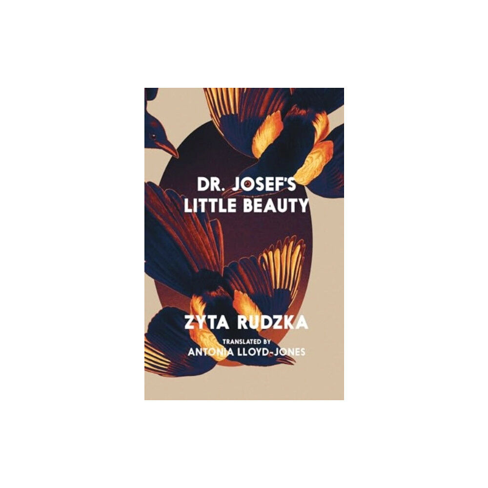 Seven Stories Press UK Dr. Josef's Little Beauty (häftad, eng)