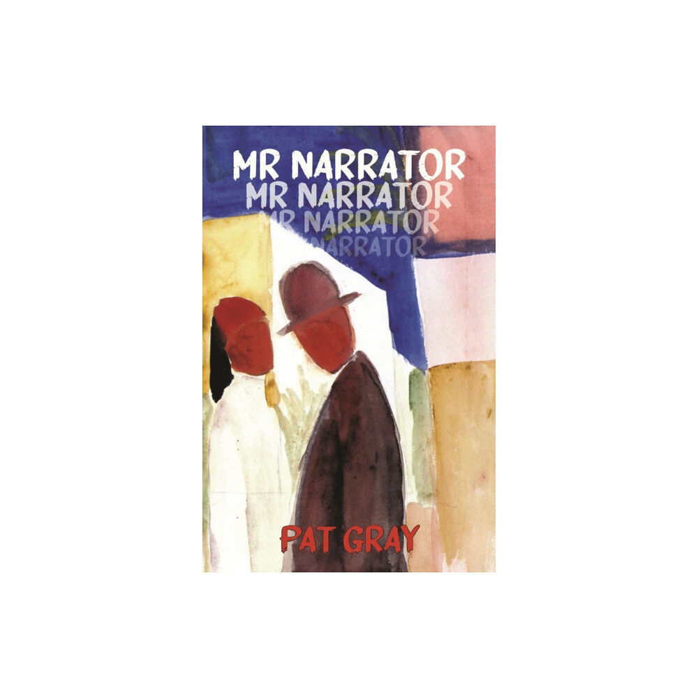 Dedalus Ltd Mr Narrator (häftad, eng)