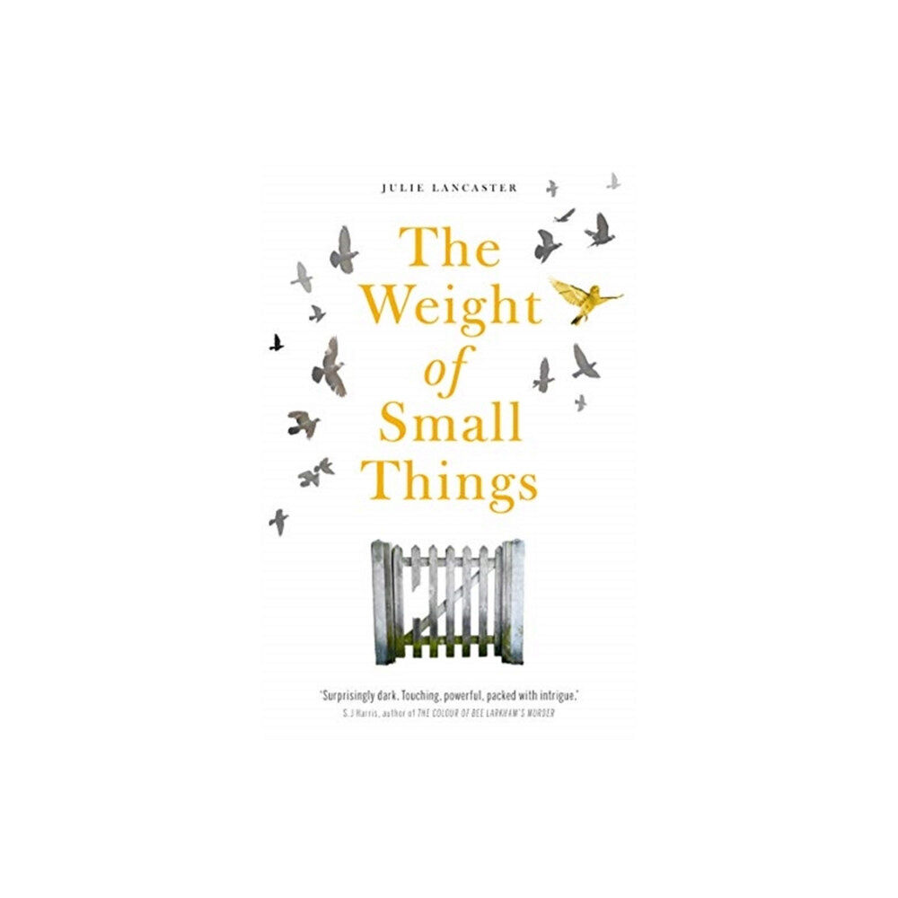 Mirror Books The Weight of Small Things (häftad, eng)