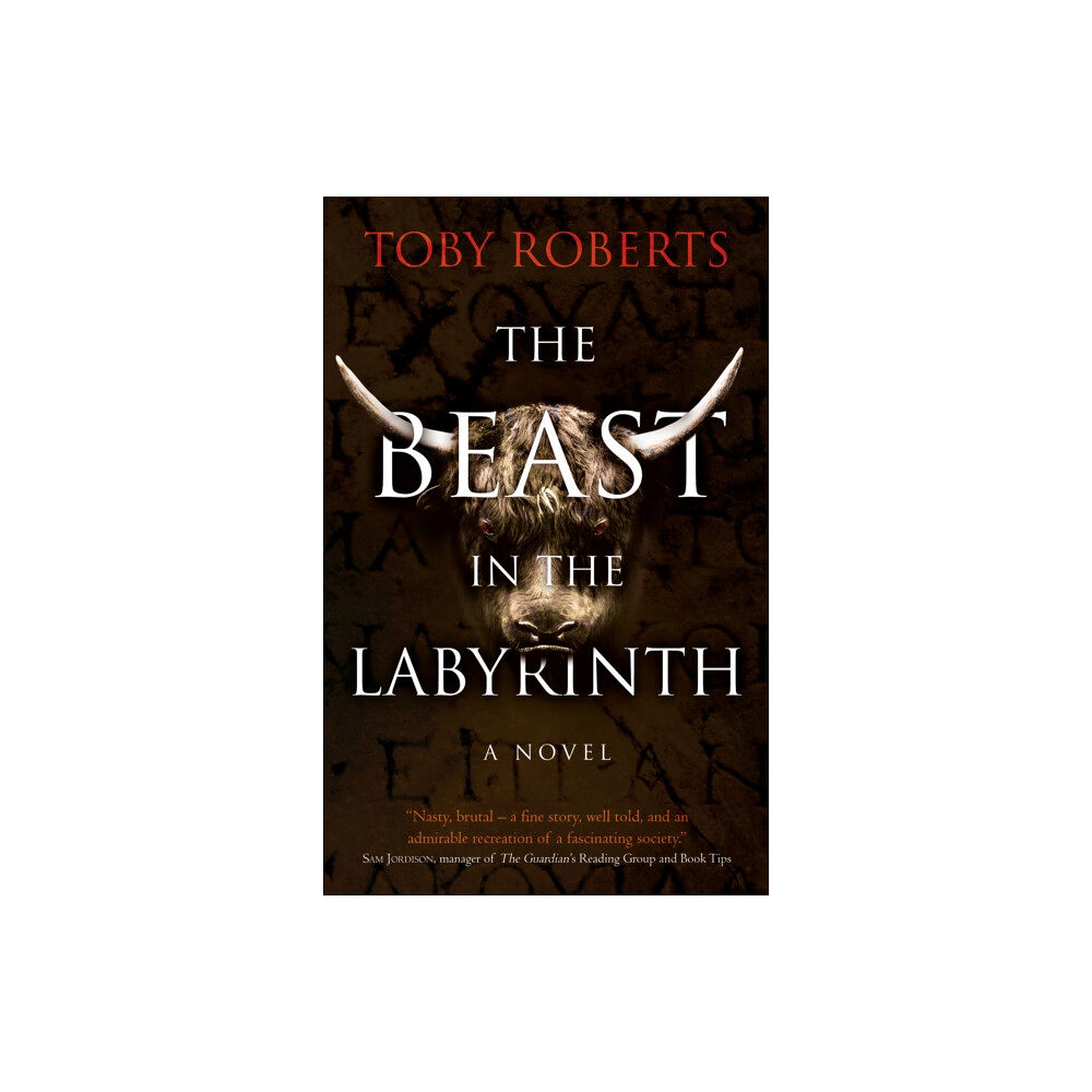 Book Guild Publishing Ltd The Beast in the Labyrinth (häftad, eng)