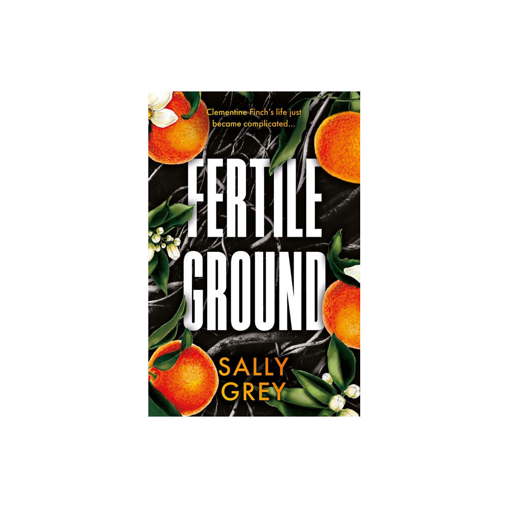 The Book Guild Ltd Fertile Ground (häftad, eng)