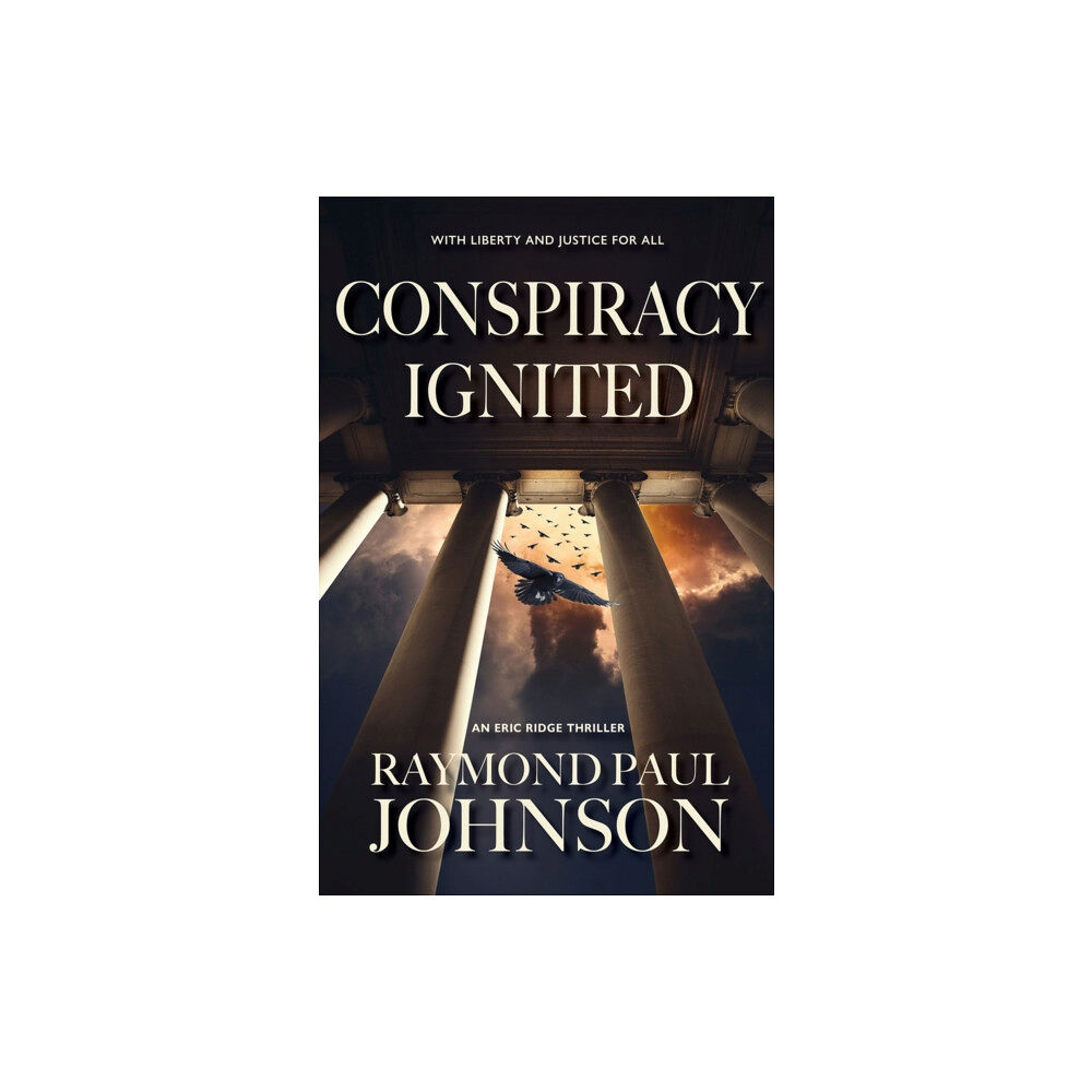 Amphorae Publishing Group, LLC Conspiracy Ignited (häftad, eng)