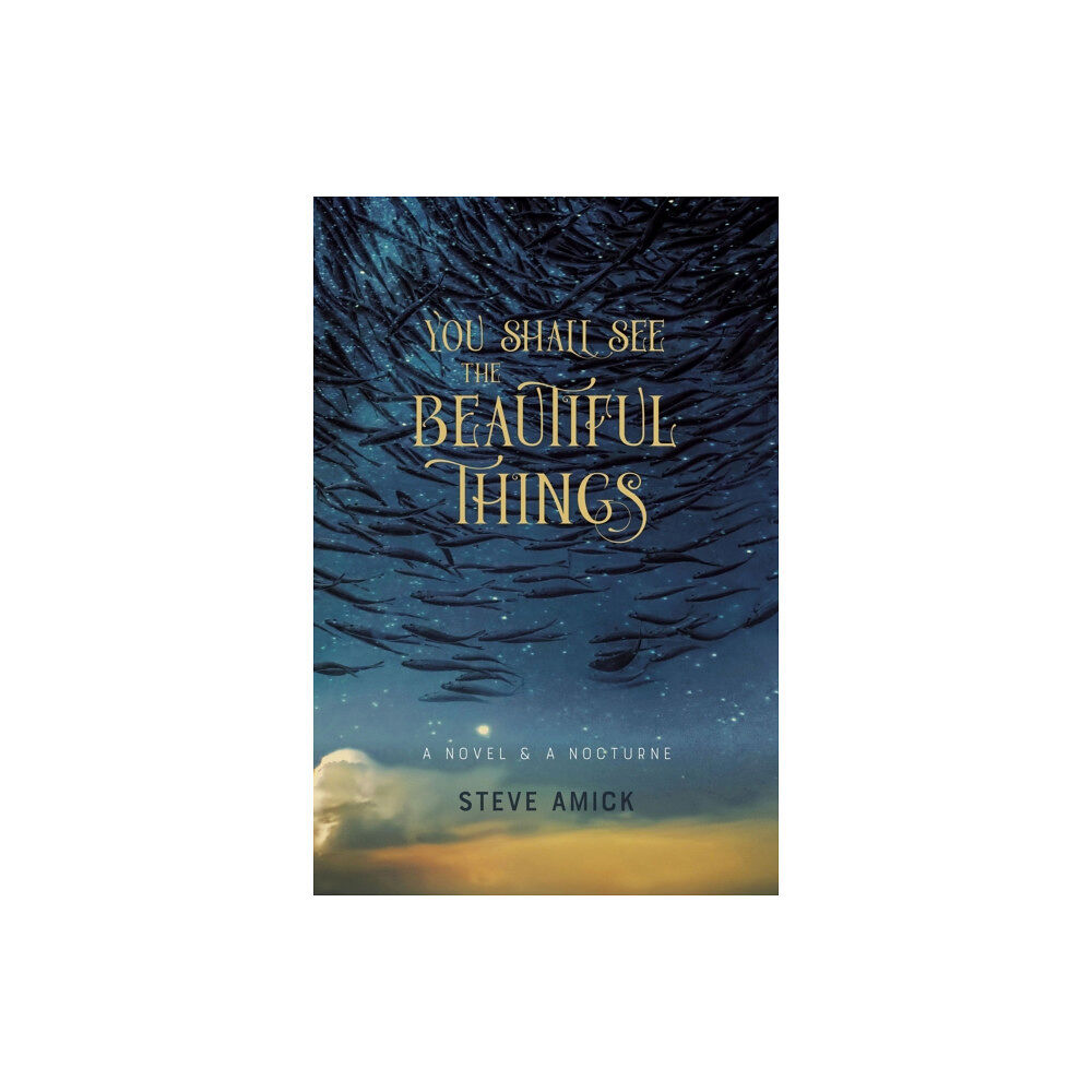 Acre Books You Shall See the Beautiful Things – A Novel & A Nocturne (häftad, eng)