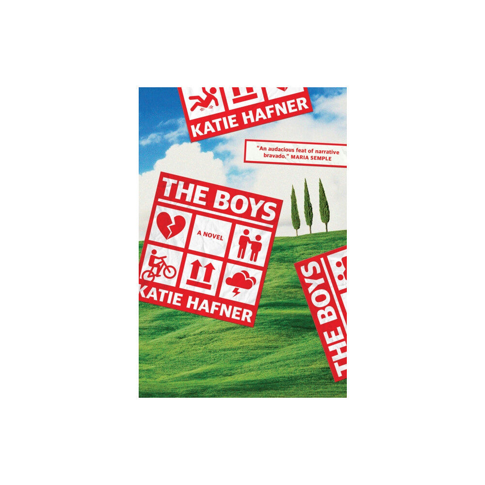 Random House USA Inc The Boys (inbunden, eng)