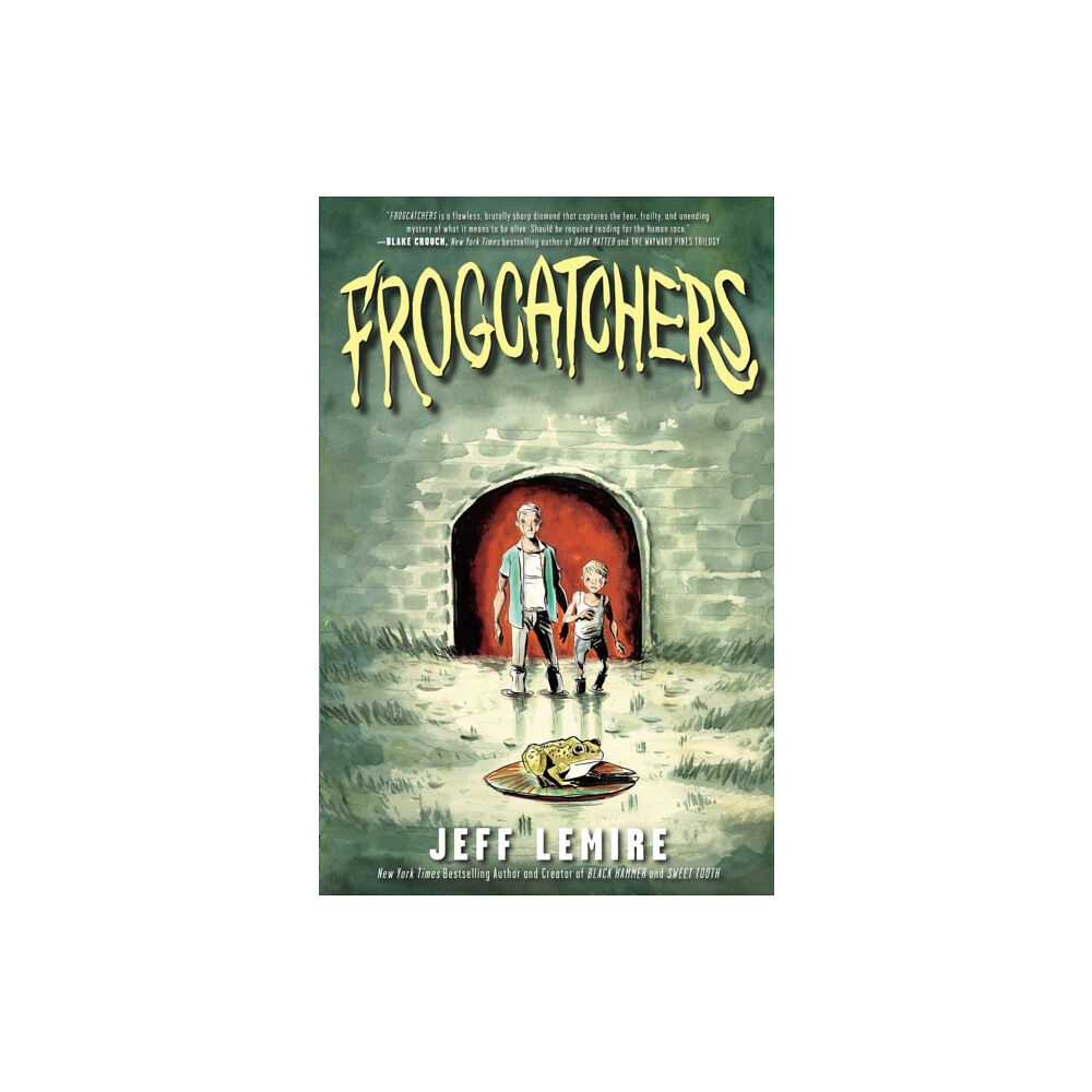 Simon & Schuster Frogcatchers (häftad, eng)