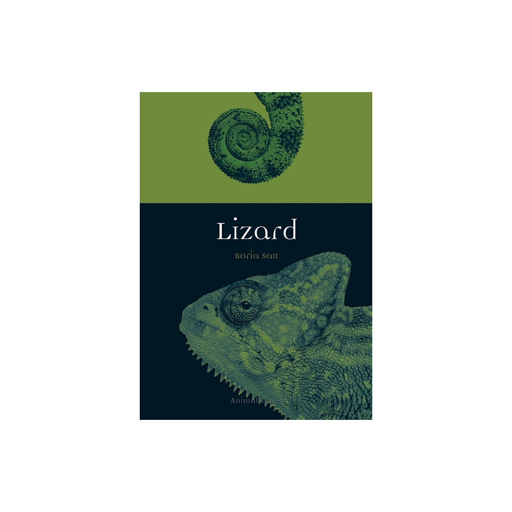 Reaktion Books Lizard (häftad, eng)