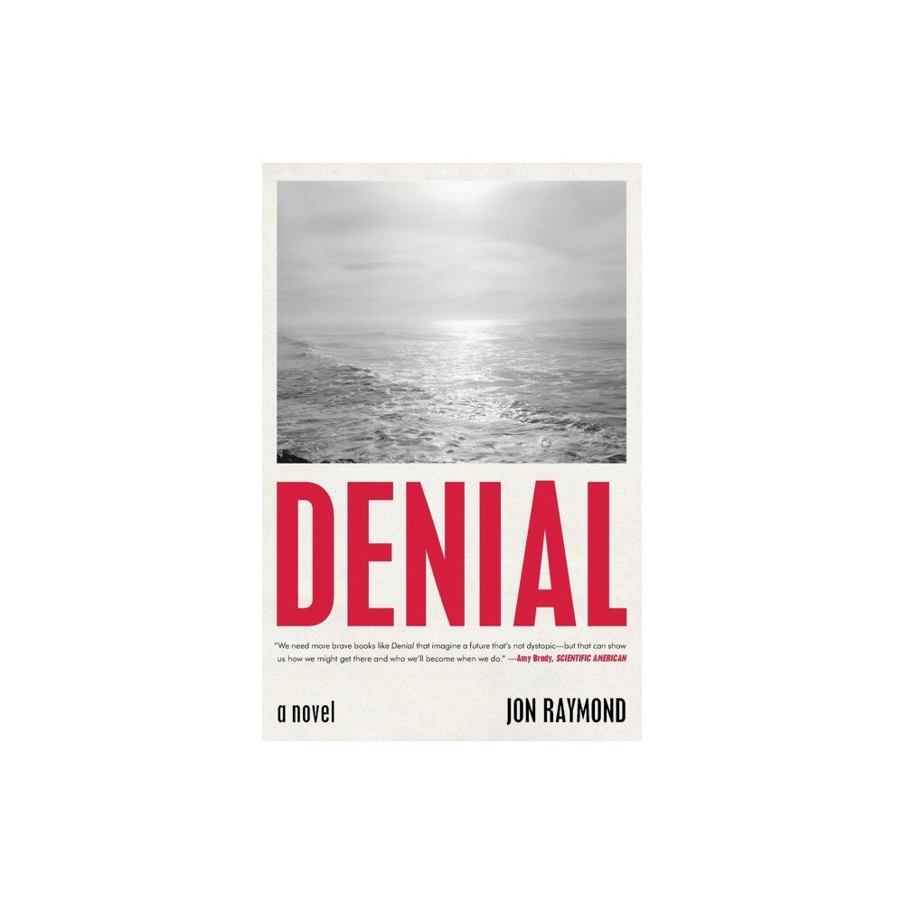 Simon & Schuster Denial (häftad, eng)