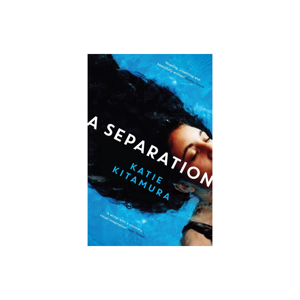 Profile Books Ltd A Separation (häftad, eng)