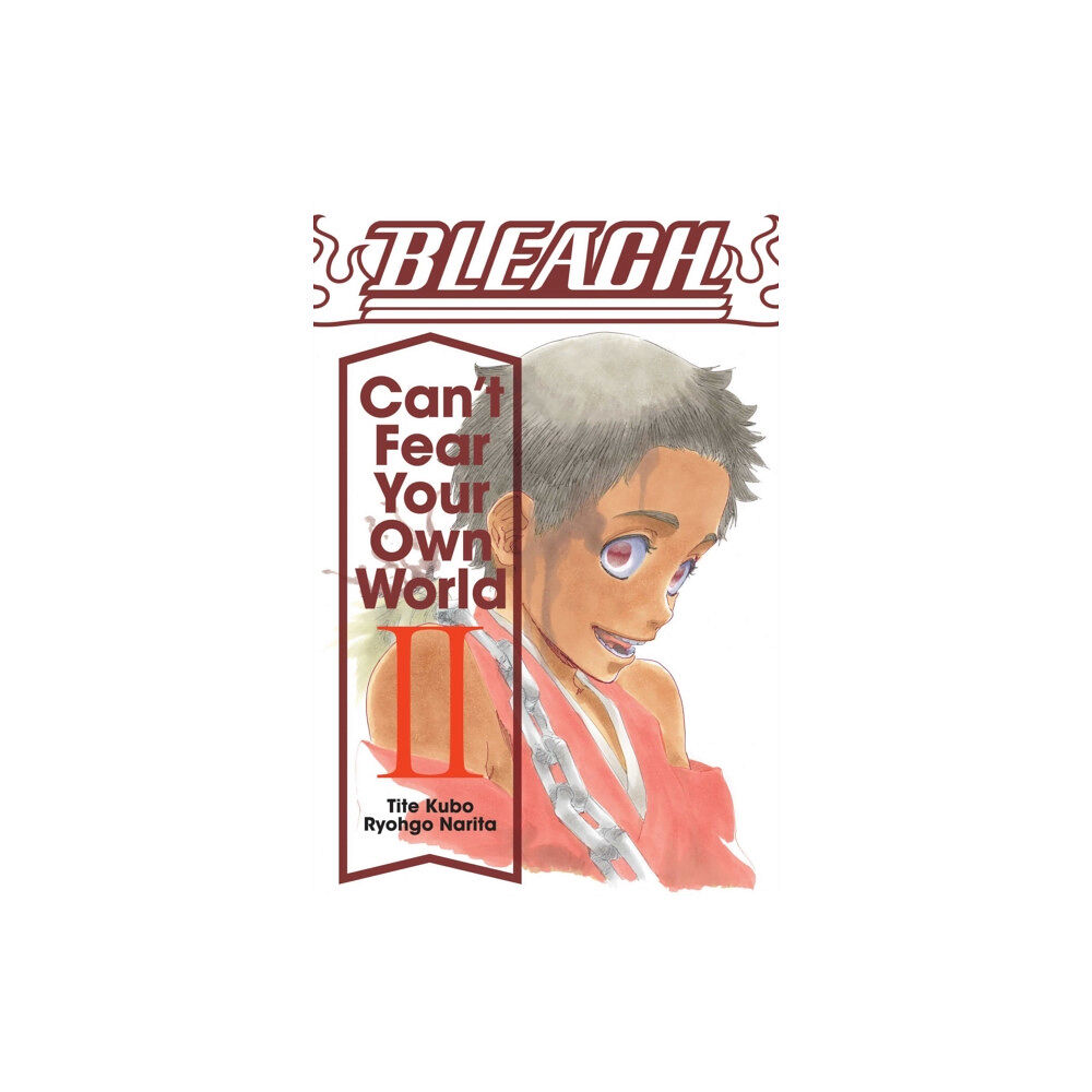 Viz Media, Subs. of Shogakukan Inc Bleach: Can't Fear Your Own World, Vol. 2 (häftad, eng)