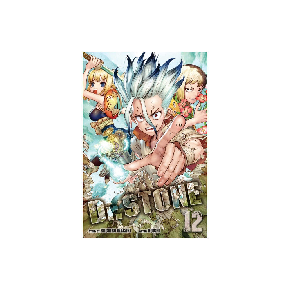 Viz Media, Subs. of Shogakukan Inc Dr. STONE, Vol. 12 (häftad, eng)